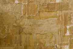 115_Egypte_Louxor_Thebes_Temple-de-Hatchepsout_Chapelle-de-Hathor_La-Vache-Hathor-allaitant-Thoutmosis-II