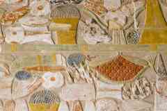 121_Egypte_Louxor_Thebes_Temple-de-Hatchepsout_Peintures