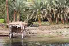 152_Egypte_Navigation-de-Edfou-a-Kom-Ombo_Rives-du-Nil_Aigrette-garzette_Egretta-garzetta_