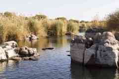 193_Egypte_Assouan_Le-Nil-Sauvage_1ere-Cataracte