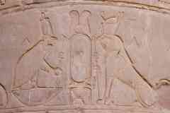 237_Egypte_Edfou_Temple-d-Horus_Cour_Portique-Ouest_Pilier_Relief_Horus-et-Nekhbet-le-Vautour-entourent-un-cartouche-vide