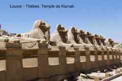239_Egypte_Louxor_Thebes_Temple-de-Karnak_Dromos_Allee-de-Sphinx-a-Tete-de-Belier-Criocephales