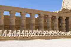 242_Egypte_Louxor_Thebes_Temple-de-Karnak_La-Cour_Portique-de-Chechonq-Ier_Allee-de-Sphinx-Criocephales