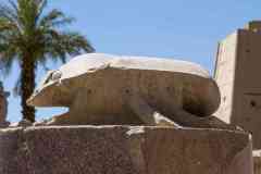 250_Egypte_Louxor_Thebes_Temple-de-Karnak_Khepri_Dieu-Scarabee-associe-au-Soleil_Symbole-de-la-Renaissance